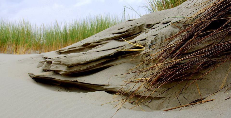 Dune Bep Schiermonnikoog Extérieur photo